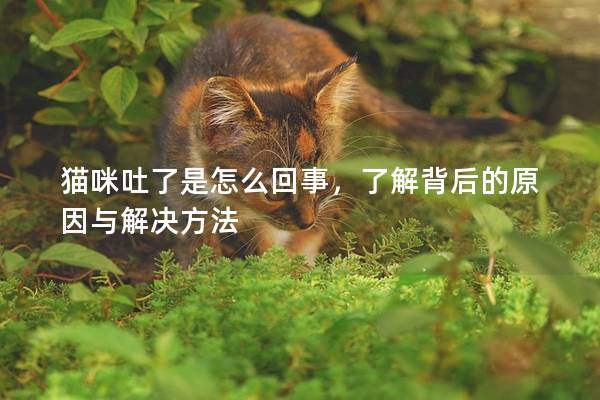 猫咪吐了是怎么回事，了解背后的原因与解决方法