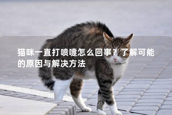 猫咪一直打喷嚏怎么回事？了解可能的原因与解决方法