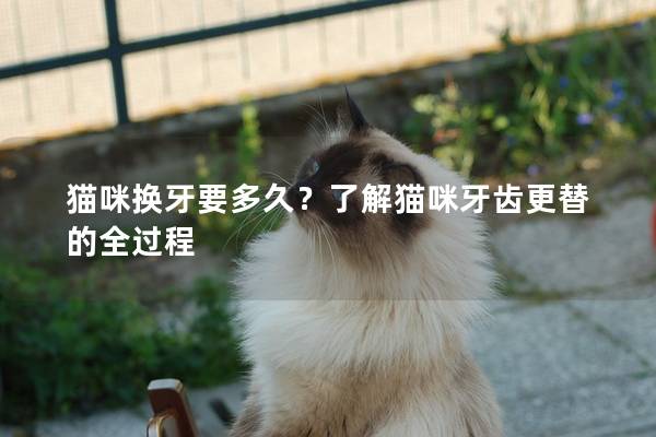 猫咪换牙要多久？了解猫咪牙齿更替的全过程