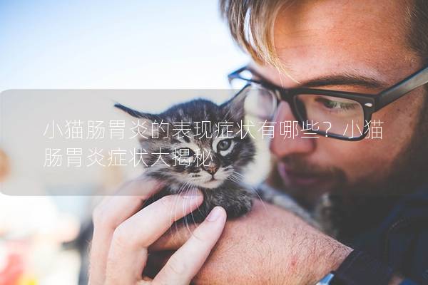 小猫肠胃炎的表现症状有哪些？小猫肠胃炎症状大揭秘