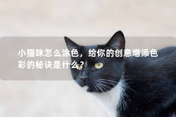 小猫咪怎么涂色，给你的创意增添色彩的秘诀是什么？