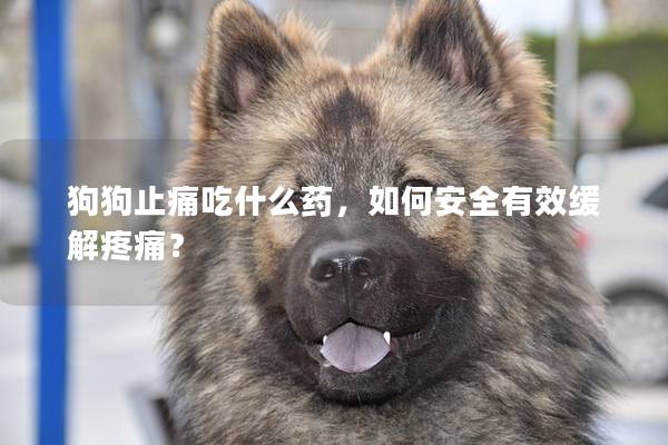 狗狗止痛吃什么药，如何安全有效缓解疼痛？