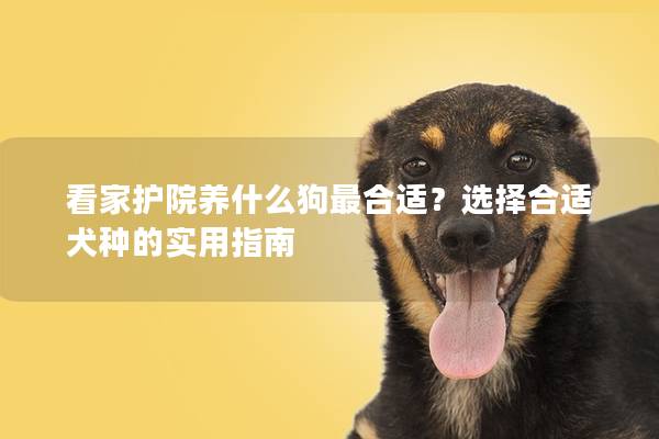 看家护院养什么狗最合适？选择合适犬种的实用指南