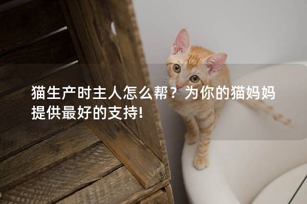 猫生产时主人怎么帮？为你的猫妈妈提供最好的支持!