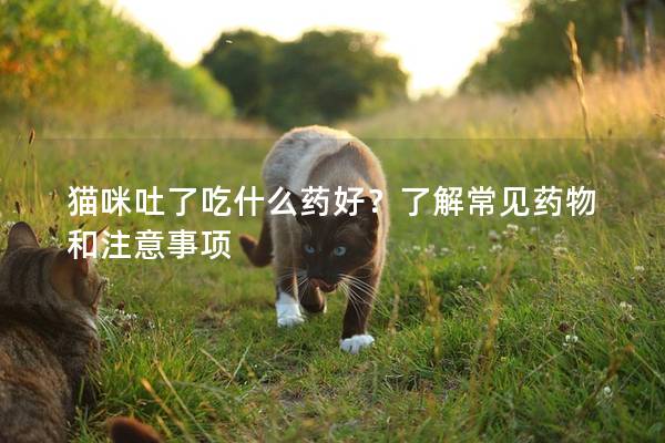 猫咪吐了吃什么药好？了解常见药物和注意事项