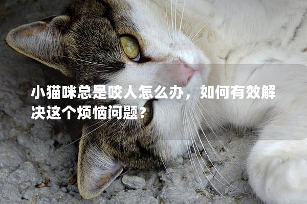 小猫咪总是咬人怎么办，如何有效解决这个烦恼问题？