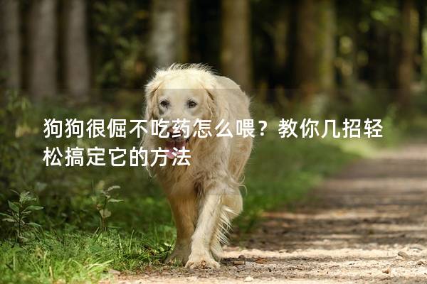 狗狗很倔不吃药怎么喂？教你几招轻松搞定它的方法