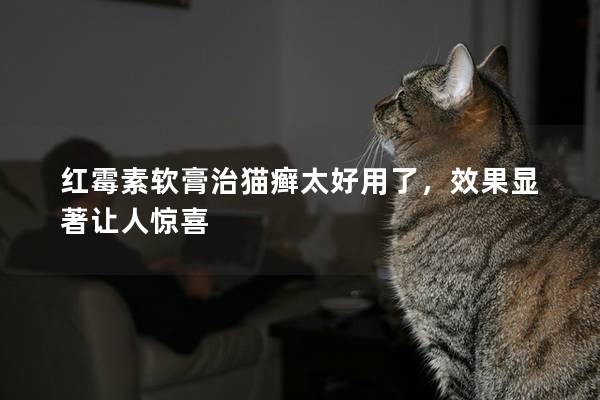 红霉素软膏治猫癣太好用了，效果显著让人惊喜