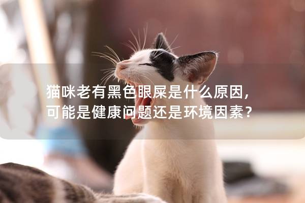 猫咪老有黑色眼屎是什么原因, 可能是健康问题还是环境因素？