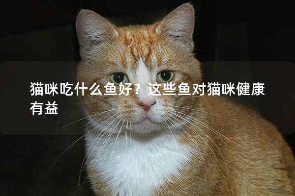 猫咪吃什么鱼好？这些鱼对猫咪健康有益