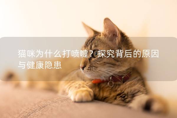 猫咪为什么打喷嚏？探究背后的原因与健康隐患