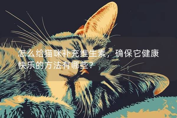 怎么给猫咪补充维生素，确保它健康快乐的方法有哪些？