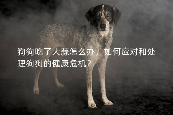 狗狗吃了大蒜怎么办，如何应对和处理狗狗的健康危机？