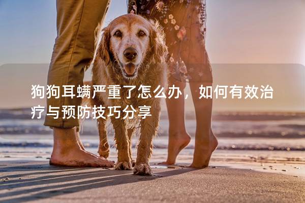 狗狗耳螨严重了怎么办，如何有效治疗与预防技巧分享