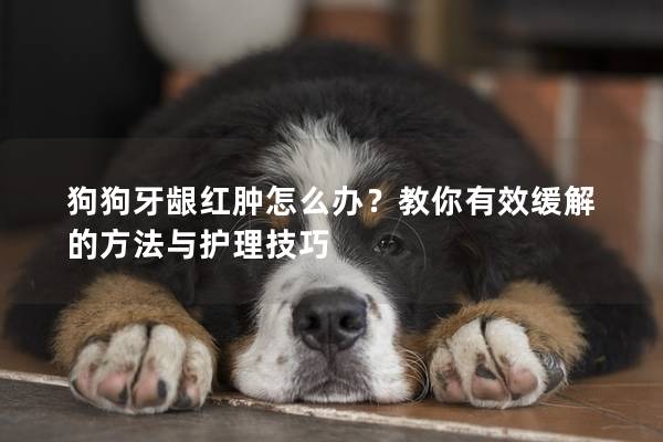 狗狗牙龈红肿怎么办？教你有效缓解的方法与护理技巧