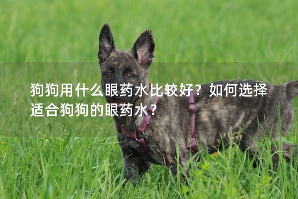 狗狗用什么眼药水比较好？如何选择适合狗狗的眼药水？