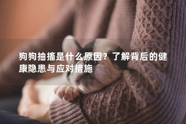 狗狗抽搐是什么原因？了解背后的健康隐患与应对措施