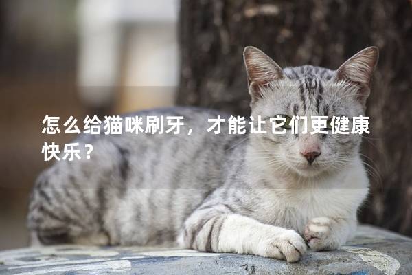 怎么给猫咪刷牙，才能让它们更健康快乐？