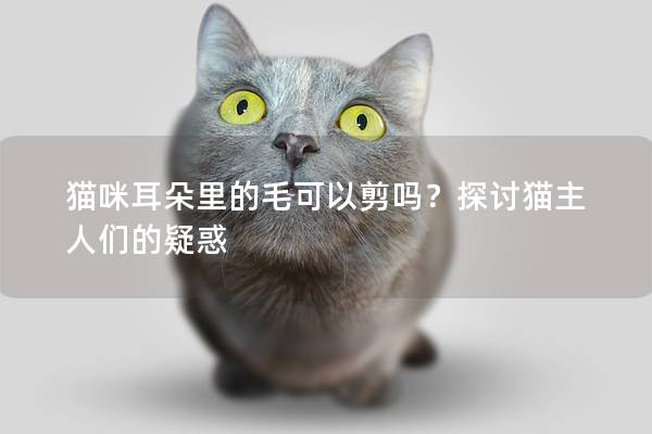 猫咪耳朵里的毛可以剪吗？探讨猫主人们的疑惑