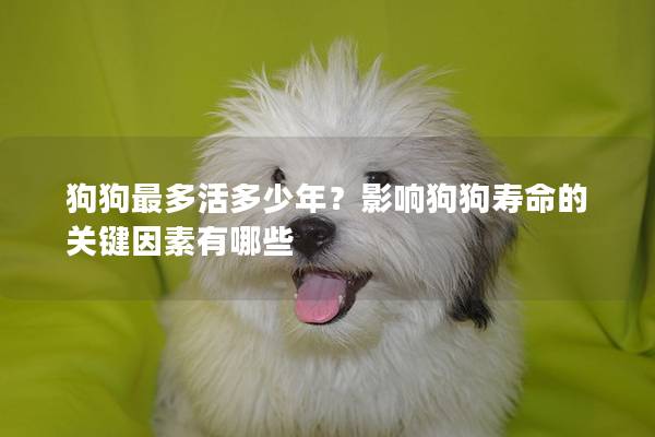 狗狗最多活多少年?影响狗狗寿命的关键因素有哪些