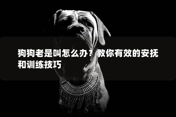 狗狗老是叫怎么办？教你有效的安抚和训练技巧