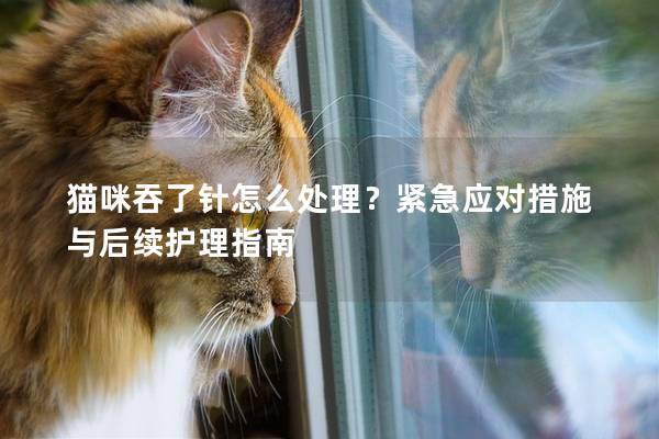 猫咪吞了针怎么处理？紧急应对措施与后续护理指南