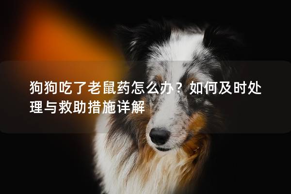 狗狗吃了老鼠药怎么办？如何及时处理与救助措施详解