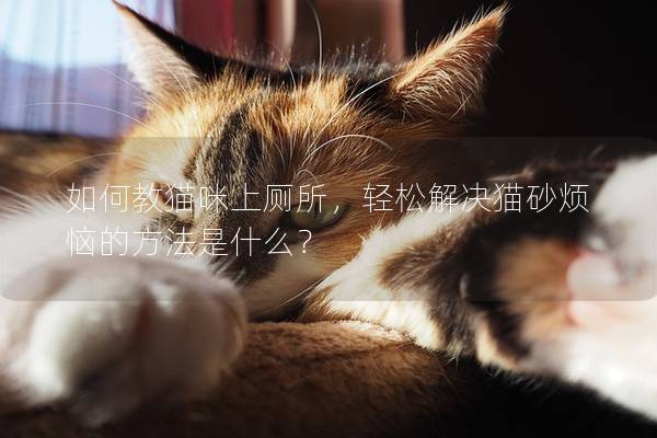 如何教猫咪上厕所，轻松解决猫砂烦恼的方法是什么？