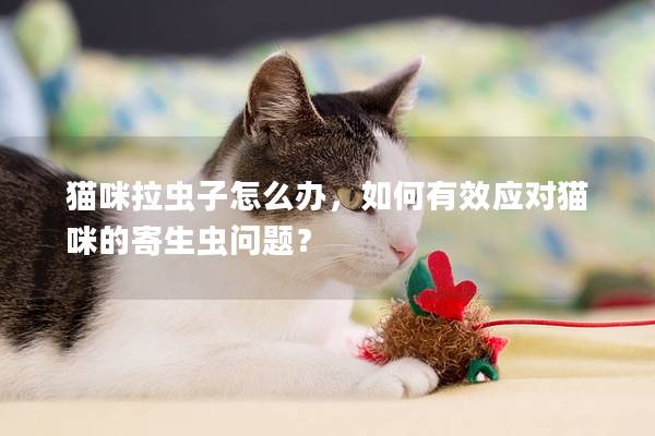 猫咪拉虫子怎么办，如何有效应对猫咪的寄生虫问题？