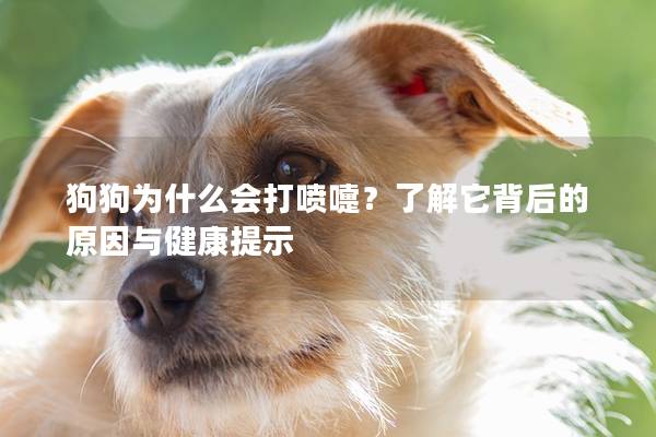 狗狗为什么会打喷嚏？了解它背后的原因与健康提示