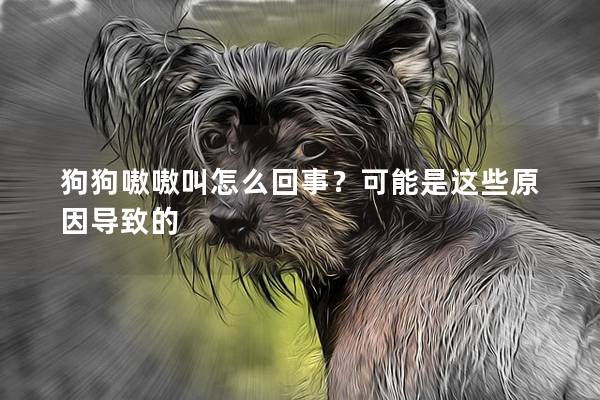 狗狗嗷嗷叫怎么回事？可能是这些原因导致的