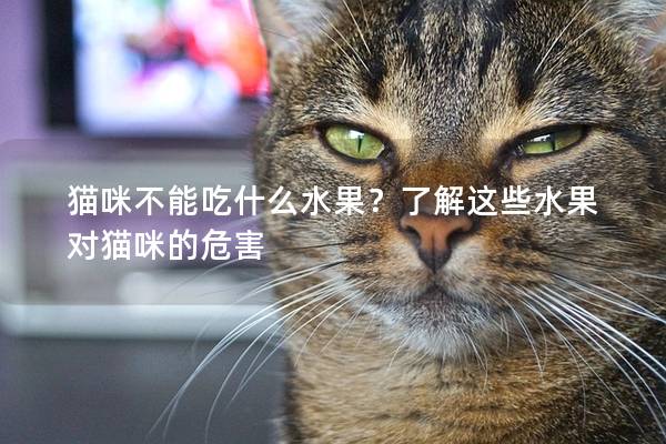 猫咪不能吃什么水果？了解这些水果对猫咪的危害