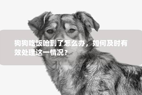 狗狗吃饭呛到了怎么办，如何及时有效处理这一情况？