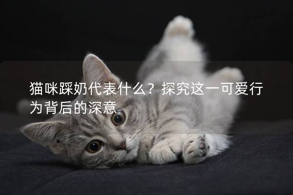 猫咪踩奶代表什么？探究这一可爱行为背后的深意