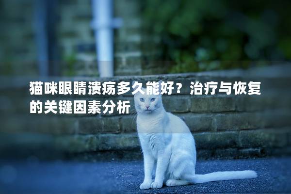 猫咪眼睛溃疡多久能好？治疗与恢复的关键因素分析