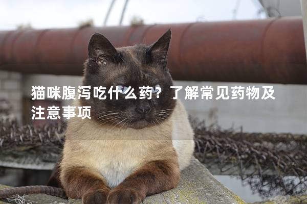 猫咪腹泻吃什么药？了解常见药物及注意事项