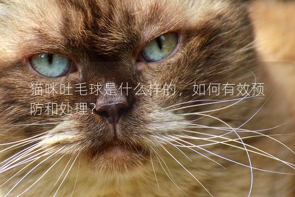 猫咪吐毛球是什么样的，如何有效预防和处理？