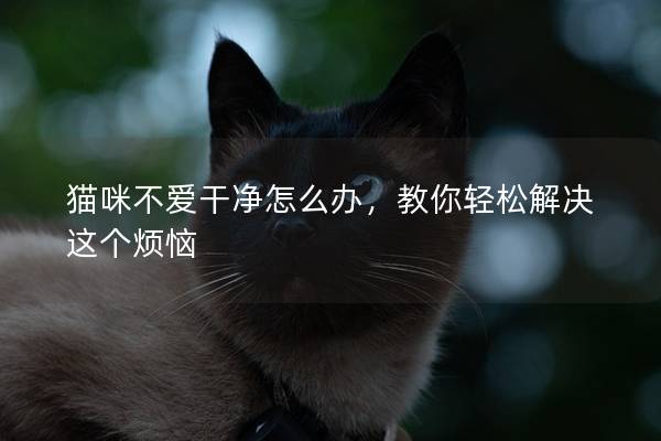 猫咪不爱干净怎么办，教你轻松解决这个烦恼