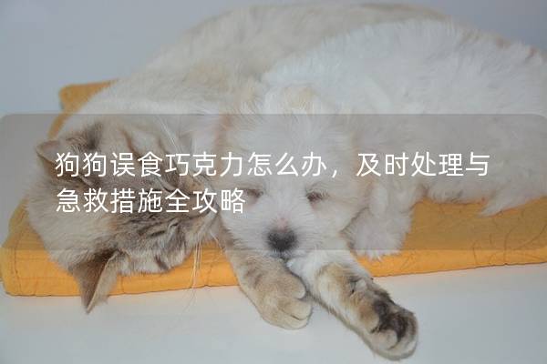 狗狗误食巧克力怎么办，及时处理与急救措施全攻略