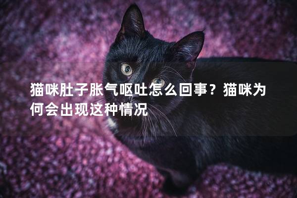 猫咪肚子胀气呕吐怎么回事？猫咪为何会出现这种情况