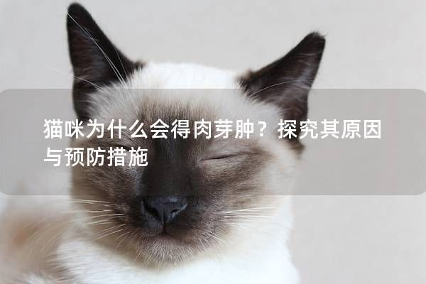 猫咪为什么会得肉芽肿？探究其原因与预防措施