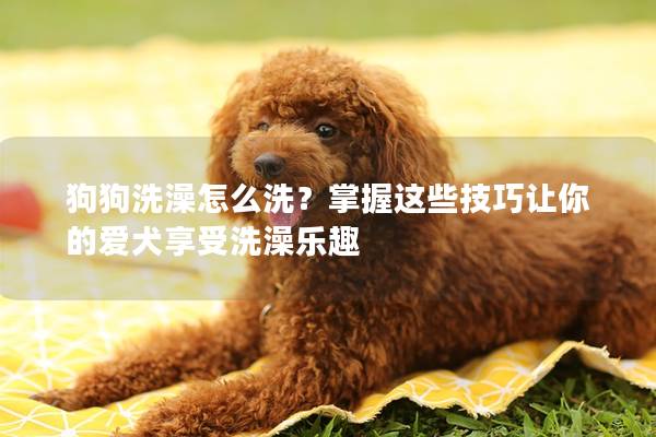 狗狗洗澡怎么洗？掌握这些技巧让你的爱犬享受洗澡乐趣