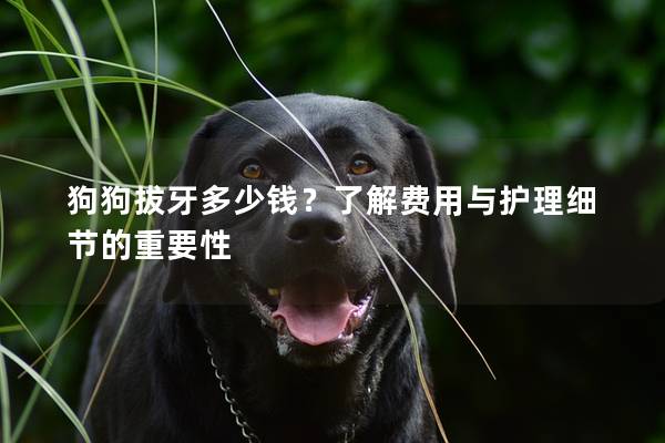 狗狗拔牙多少钱？了解费用与护理细节的重要性