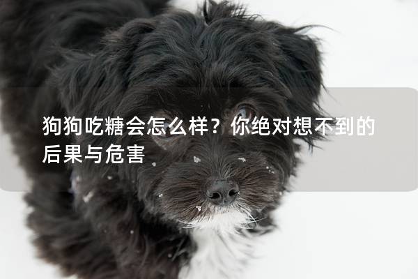 狗狗吃糖会怎么样？你绝对想不到的后果与危害