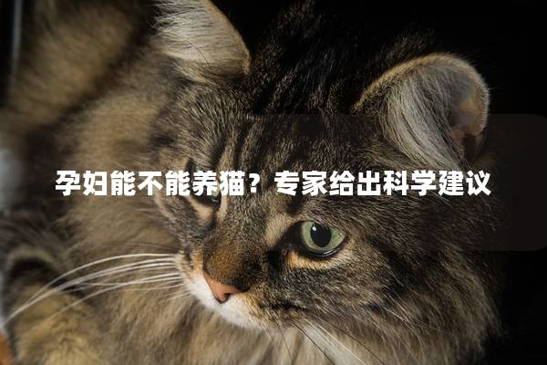 孕妇能不能养猫？专家给出科学建议