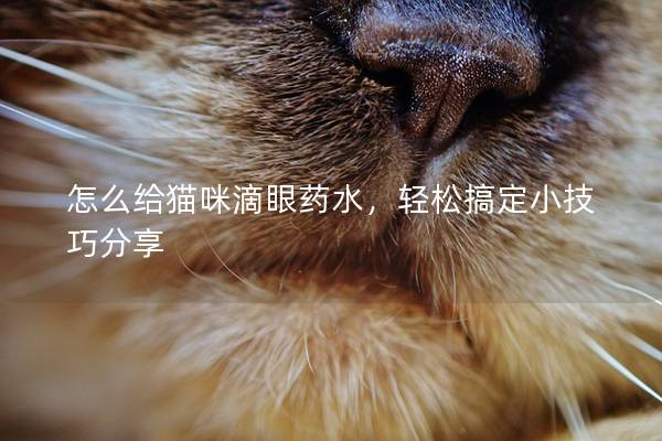 怎么给猫咪滴眼药水，轻松搞定小技巧分享