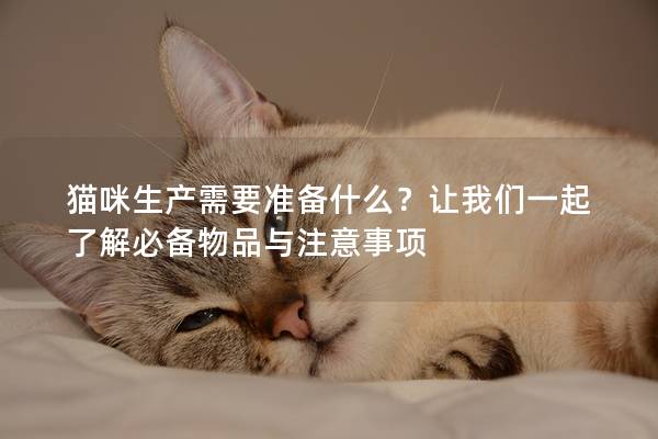 猫咪生产需要准备什么？让我们一起了解必备物品与注意事项