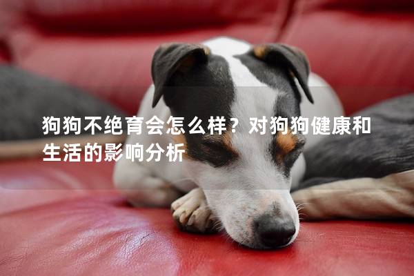 狗狗不绝育会怎么样？对狗狗健康和生活的影响分析