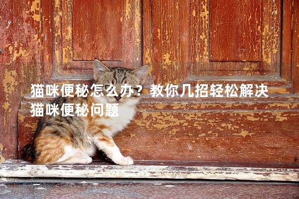 猫咪便秘怎么办？教你几招轻松解决猫咪便秘问题