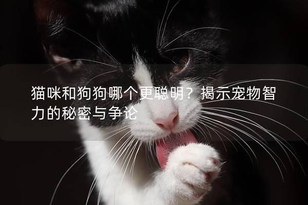 猫咪和狗狗哪个更聪明？揭示宠物智力的秘密与争论